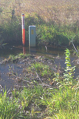 fiber optic pedestal in water